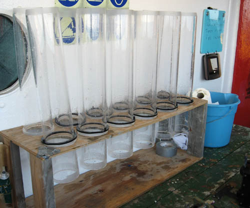 empty tubes